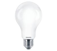 Philips lampadina LED 17,5W E27 2452lm Bianco Freddo
