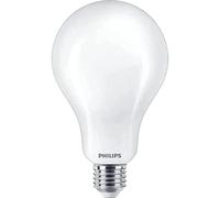 Philips Lampadina smerigliata a filamento 200 W A95 E27