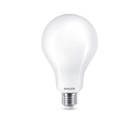 Philips Lampadina smerigliata a filamento 200 W A95 E27