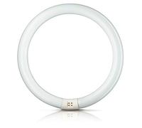 Philips Lighting Tubo Fluorescente Circular 40W TRIFOSFORO 840K Philips Ø 40CM 40 W, Multicolour, 1 Unità (Confezione da 1)