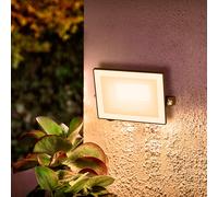 Philips LED 929004641601 Lois Faretto a LED per esterni 20 W Colore luce: Bian