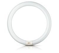 PHILIPS Lampada Fluorescente Lampada TL e 22 W/865 EAN: 8727900840537
