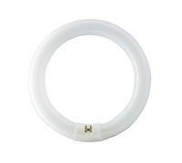 Philips Master Lampada Fluorescente Tl-E 32W 840 Circolare Super 80 G10q Anello [EEK: G]