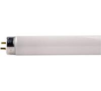 Philips Tubo fluorescente G13 T8 18W MASTER TL-D Super 865 Philips