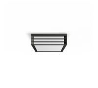 Philips - Moonshine Ciling Acthracite 2x.