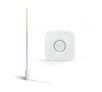 Philips Pacchetto: lampada da terra Signe gradient + Hue Bridge