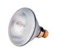Philips PAR38 IR 175W E27 240V CL 1CT/12