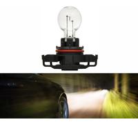 Philips PS19W 5201 12085 19W Una Lampadina Di Ricambio Per Luce Di Retromarcia