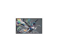Philips 75bdl3511q/00 75" display