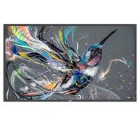 Philips 75bdl3511q/00 75" display