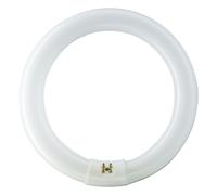 Philips Anello a fluorescenza Master Circular TL-E Philips