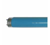 Philips Tubi Fluorescenti Master Tl-D - T8, 180 Blu - 36W - Speciale Tubo [EEK: C]