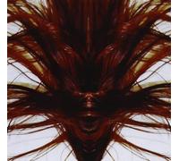 Phillips, Dave - A Collection Of Hair