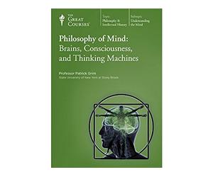 Philosophy of Mind: Brains, Consciousness, and Thinking Machines