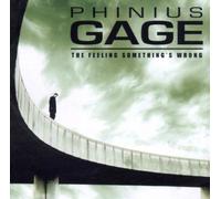 Phinius Cage - The Feelings Something'S Wrong