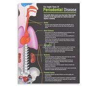 Phlebotomy Tube Color Codes Blood Draw Order Poster