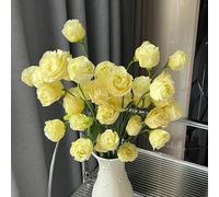 Phlox Molto adatto alle api e agli insetti Decorazione da giardino per esterni Coprisuolo a crescita rapida e tura prolungata Per decorazioni da davanzale Decorazione da 200semi