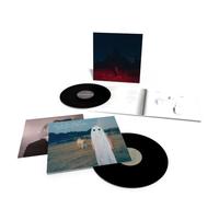Phoebe Bridgers - Phoebe Bridgers Collection: Stranger In The A Punisher