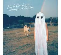 Phoebe Bridgers Stranger in the Alps (CD) Album