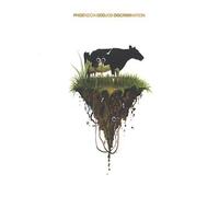 Phoenecia - Odd Job Discrimination