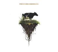Phoenecia - Odd Job Discrimination
