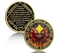 Phoenix 1 Anno Sobriety Coin Flame One Year Sobriety Chip NA Chip e Medaglione Narcotici Chip Anonimo Chip AA Recupero Gettone Anniversario Regali di sobrietà per Uomini Donne Narcotici Regalo anonimo