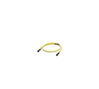 PHOENIX 2989284 FL SM PATCH 2,0 LC-LC CAVO FO