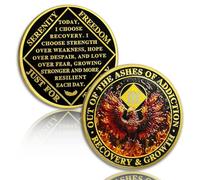 Phoenix 3 Anno Sobriety Coin Flame Tre Anni Sobriety Chip NA Chip e Medaglione Narcotici Chip Anonimo Chip AA Recupero Anniversario Token Sobrietà Regali per Uomini Donne Narcotici Regalo anonimo