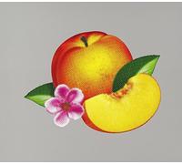 Phoenix - Bankrupt!