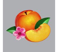 Phoenix Bankrupt (Vinyl LP)