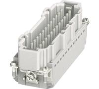 Inserto maschio hc-b 1407736 phoenix contact 24 + pe innesto rapido 1 pz