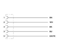 Phoenix Contact 1453889 Cavo di collegamento per sensore o attuatore 5.00 m