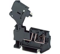 Phoenix Contact 3036369 Morsetto componibile portafusibili 6.2 mm A molla Nero