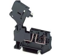 Phoenix Contact 3036369 Morsetto componibile portafusibili 6.2 mm A molla Nero