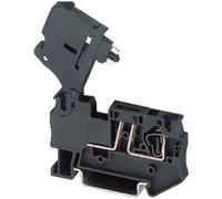 Phoenix Contact 3036369 Morsetto componibile portafusibili 6.2 mm A molla Nero