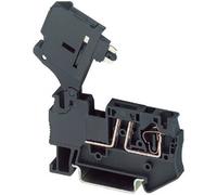 Phoenix Contact 3036369 Morsetto componibile portafusibili 6.2 mm A molla Nero