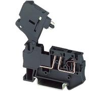 Phoenix Contact 3036369 Morsetto componibile portafusibili 6.2 mm A molla Nero
