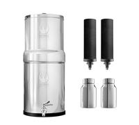 Phoenix Gravity Filtro dell'acqua in acciaio inox alimentato a gravità da 6 litri con 2 riduttori del fluoruro POSTreat e cartucce di carbonio con rubinetto in acciaio inossidabile