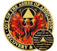 Phoenix in Fire Sobrietà Moneta Fiamma Sobrietà Chip AA Coin Chip E Medaglione Recupero Chip Sobrietà Token Regali Per Uomini Donne Alcolisti Regalo Anonimo