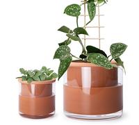Phoenix Vine Vasi per piante autoirriganti da 10 cm, vasi in terracotta per piante, vaso cilindrico per interni in terracotta con set di vasi di vetro, 51-A-G-46