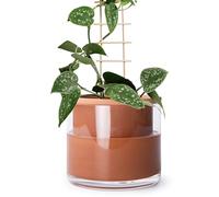 Phoenix Vine Vaso per piante autoinnaffiante da 15,2 cm, in terracotta, per interni, con vaso di vetro, 51-A-F-1