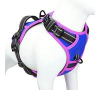PHOEPET, Pettorina per cani anti-tiro, regolabile, riflettente, con maniglia da allenamento + 2 ganci per guinzaglio in metallo + 3 fibbie a scatto + 4 fibbie scorrevoli (XS, blu reale)