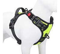 PHOEPET, Pettorina riflettente per cani di taglia grande, regolabile, anti-tiro, con manico, 2 anelli in metallo, 3 fibbie, facile da indossare e da togliere, (L, verde)