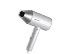 Phon Professionale Maestro MR-213 2100W Asciugatura Rapida Nero