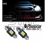Phonocar 07701 coppia (2pz) di lampade X MOTO-AUTO 12V 6000K CAN-BUS 31mm