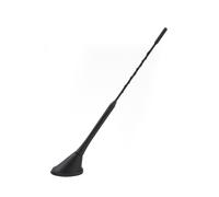 Phonocar 08061 Antenna AM/FM da tetto posteriore
