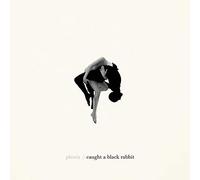 Phoria - Caught A Black Rabbit