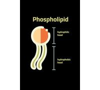 Phospholipid: Hydrophobic & Hydrophilic Harmony - A Notebook for Cellular Architects: 120 Pages of Lined Paper for Biology Notes, Cell Membrane Diagrams, and Scientific Creativity