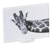 photo frame big air trasparente incolore, spessore 10-2 mm trasparente