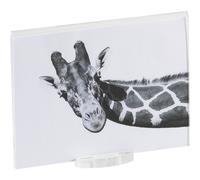 photo frame big air trasparente incolore, spessore 10-2 mm trasparente